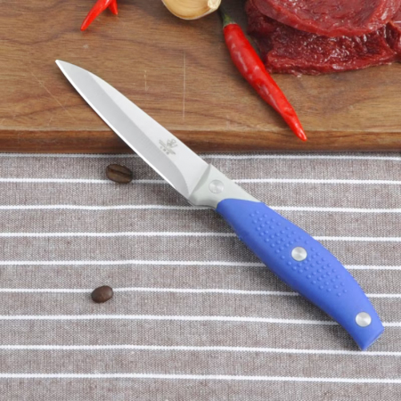 Cutit fructe, lama 9 cm [1]