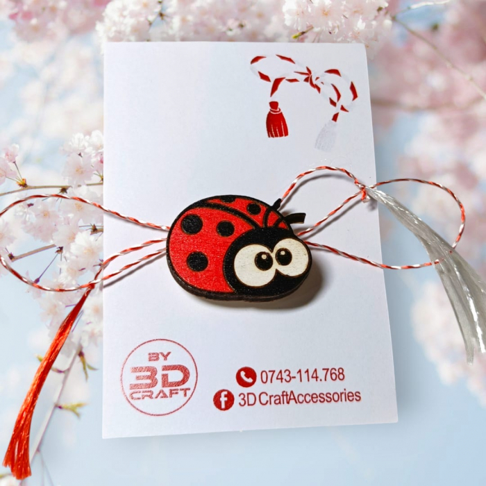 Martisor - buburuza [1]