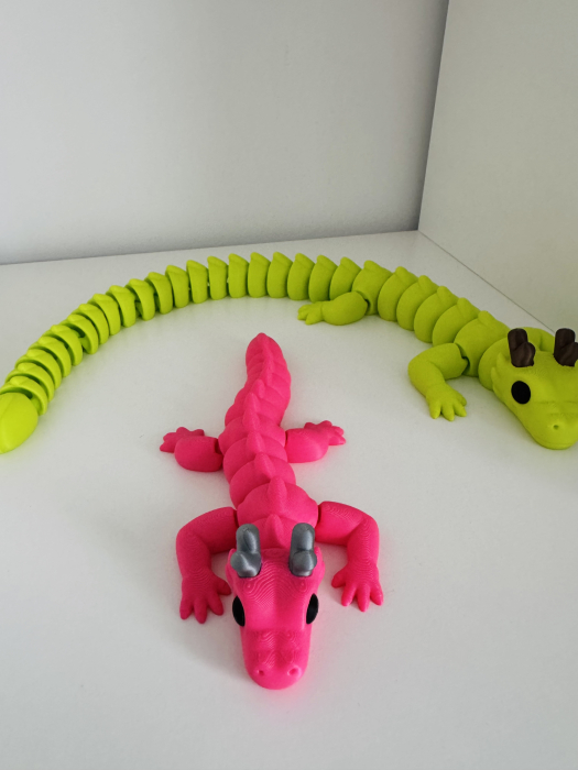 Dragon flexi [6]