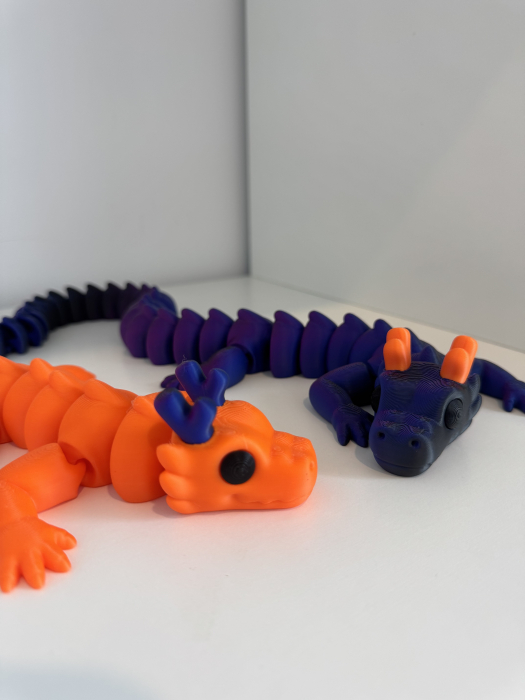 Dragon flexi [8]