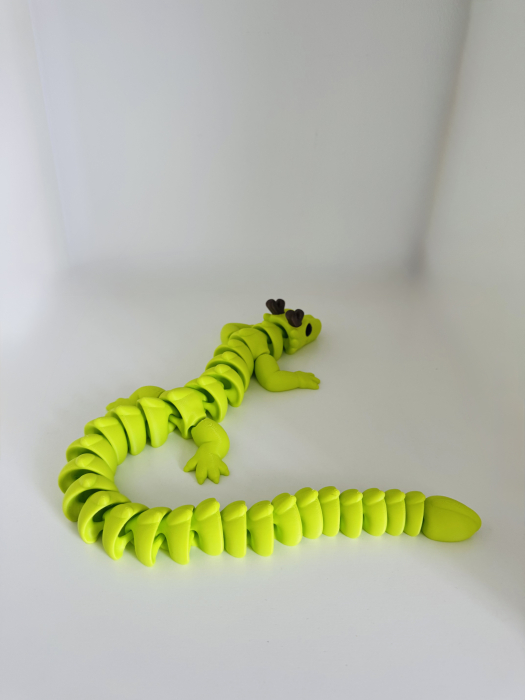 Dragon flexi [4]