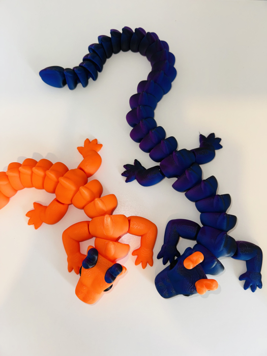 Dragon flexi [7]