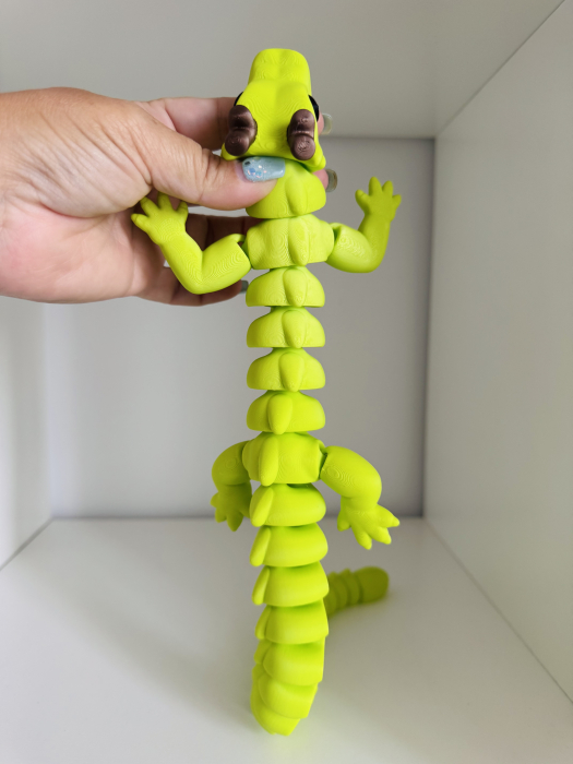 Dragon flexi [3]