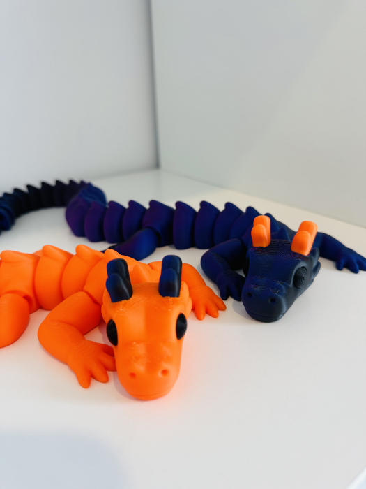 Dragon flexi [9]