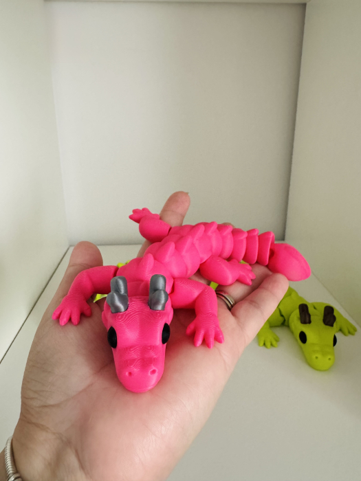 Dragon flexi [5]
