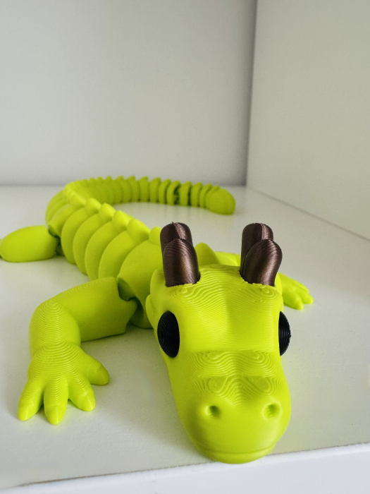 Dragon flexi [2]