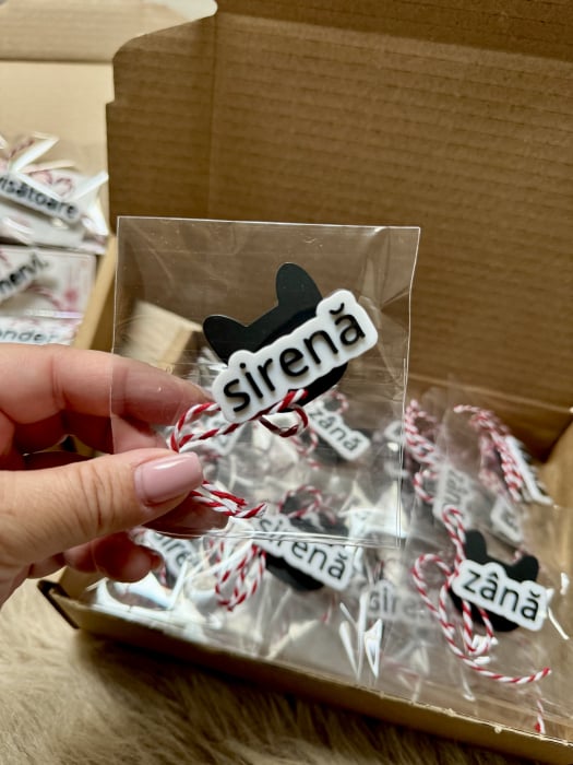 Brosa / insigna cu text [5]