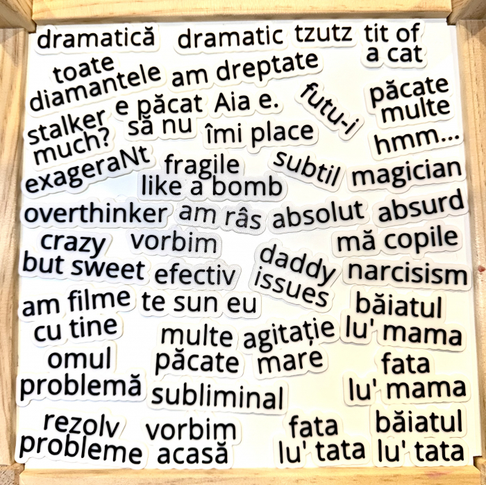 Brosa / insigna cu text [6]