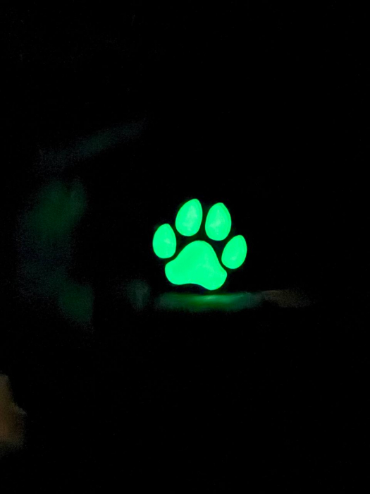 NFC tag GLOW in the DARK - breloc animal companie [2]