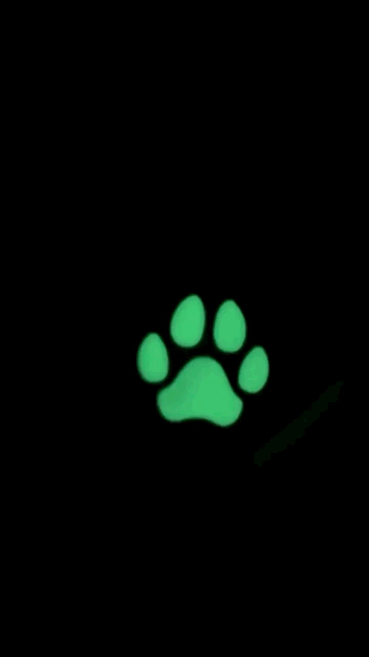 NFC tag GLOW in the DARK - breloc animal companie [3]
