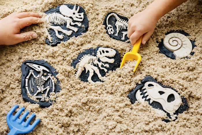 Set 7 fosile dinozauri [2]