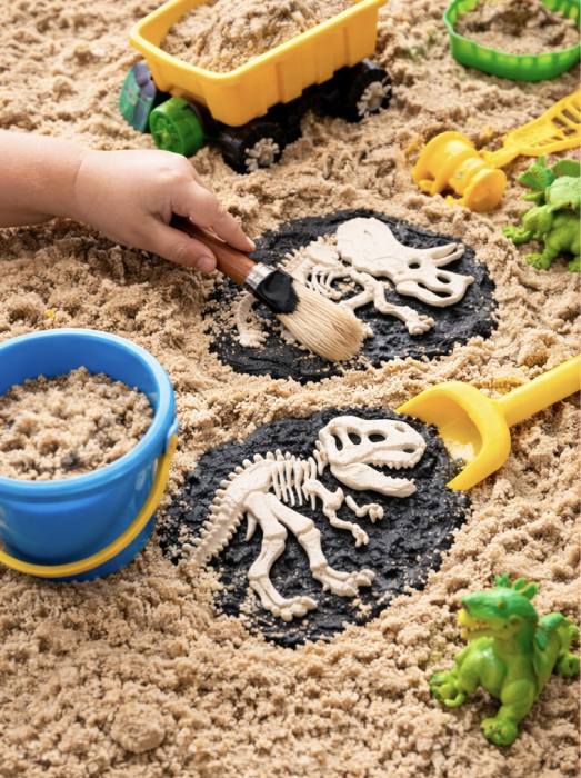 Set 7 fosile dinozauri [4]