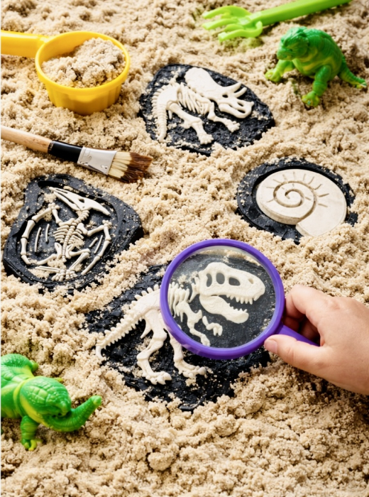 Set 7 fosile dinozauri [3]