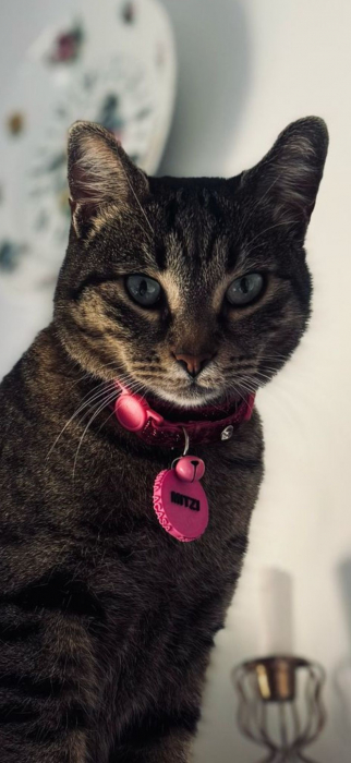 Tag NFC personalizat [3]