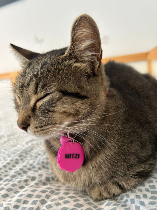 Tag NFC personalizat [2]