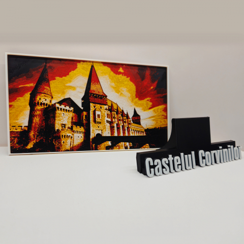 Castelul Corvinilor - Poza in relief [3]