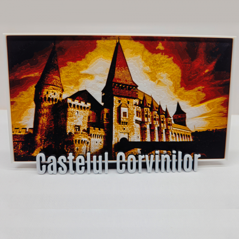 Castelul Corvinilor - Poza in relief [2]