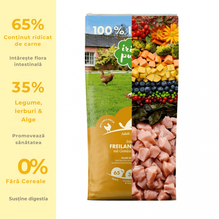 irish-pure-cu-pui-irlandez-crescut-liber-legume-alge-kelp-adult-12kg [2]