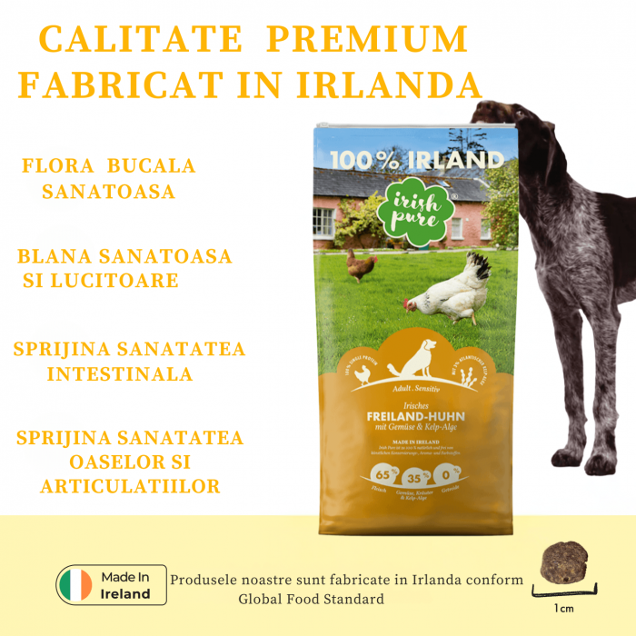 irish-pure-cu-pui-irlandez-crescut-liber-legume-alge-kelp-adult-12kg [3]