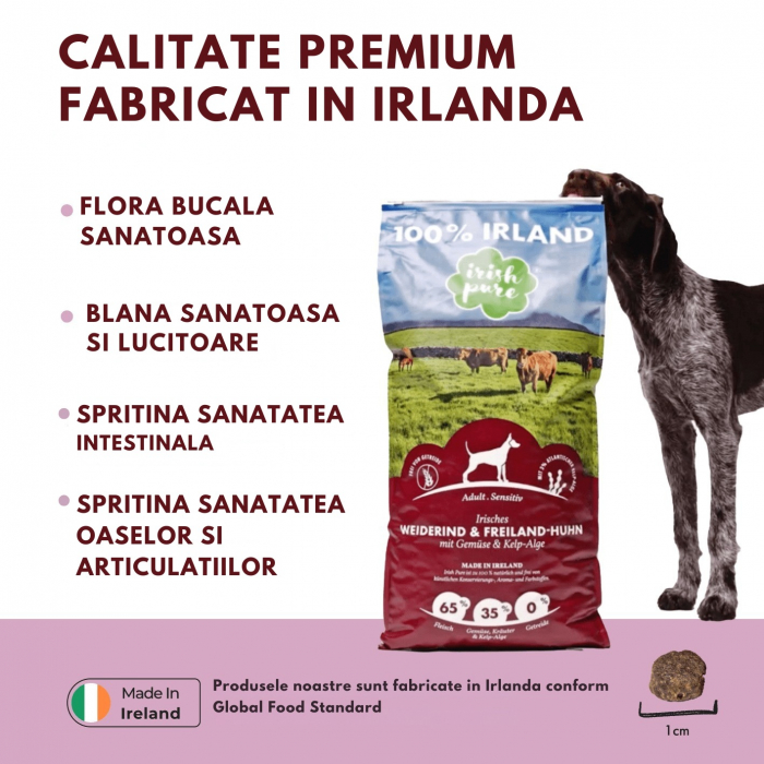 Irish Pure cu vita irlandeza crescuta pe pasune, pui irlandez crescut liber, legume & alge Kelp [4]
