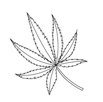 HEMP STYLE