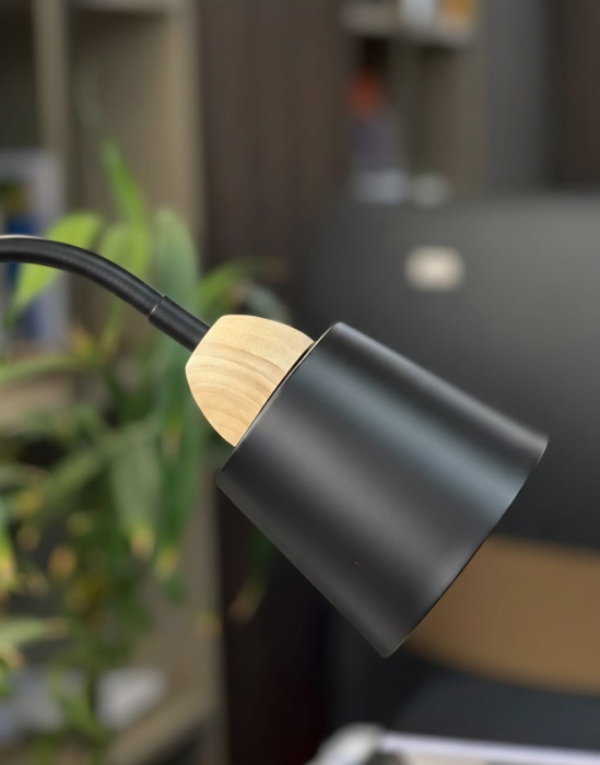 Lampadar Modern 3770, H 145 cm, Metal și Lemn, Cap Reglabil, E27, Negru/Alb [4]