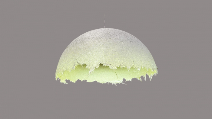 Lustra 2518/1 [2]