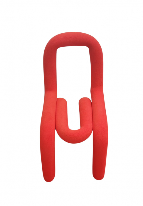 Scaun ZW207-004 [2]