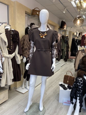 Rochii dama elegante - Rochie cu maneca dantela