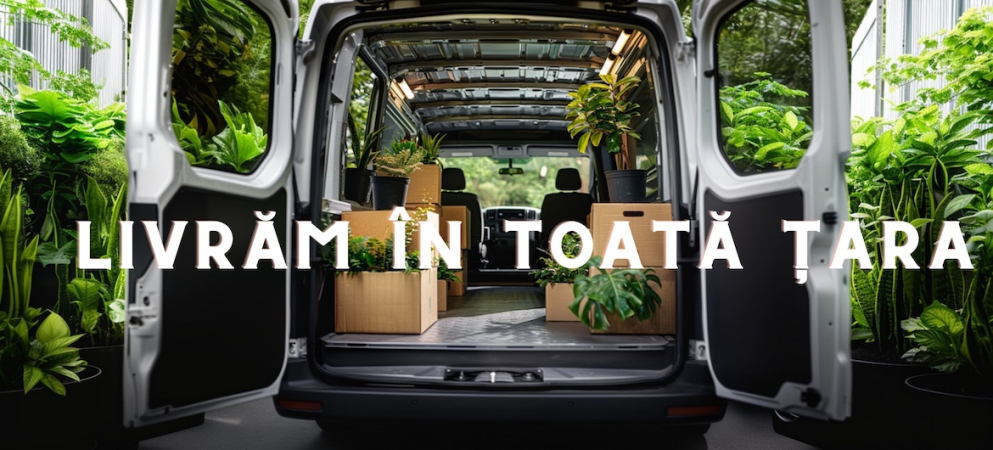 banner livrare abundent garden