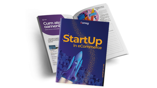 StartUp in eCommerce - Ghid pentru a deschide un magazin online-big