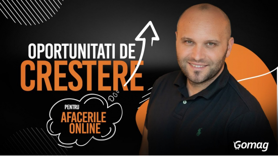 Oportunitati de crestere pentru afacerile online-big