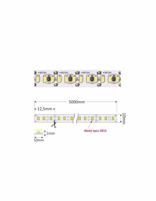 Bandă Led Premium  90W/5m 1.200LED-uri [5]