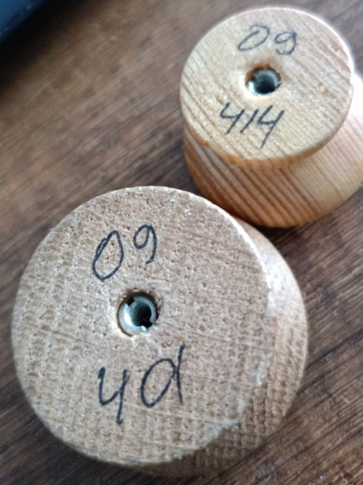 Tulip Buton Jacek rotund [5]