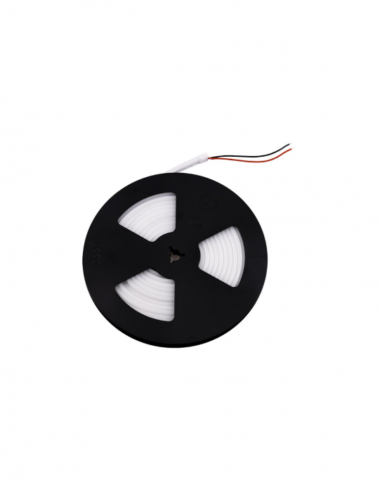 Neon Flex-Bandă LED Flexibilă 24V [6]