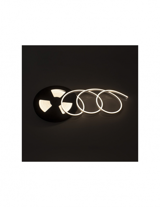 Neon Flex-Bandă LED Flexibilă 24V [9]