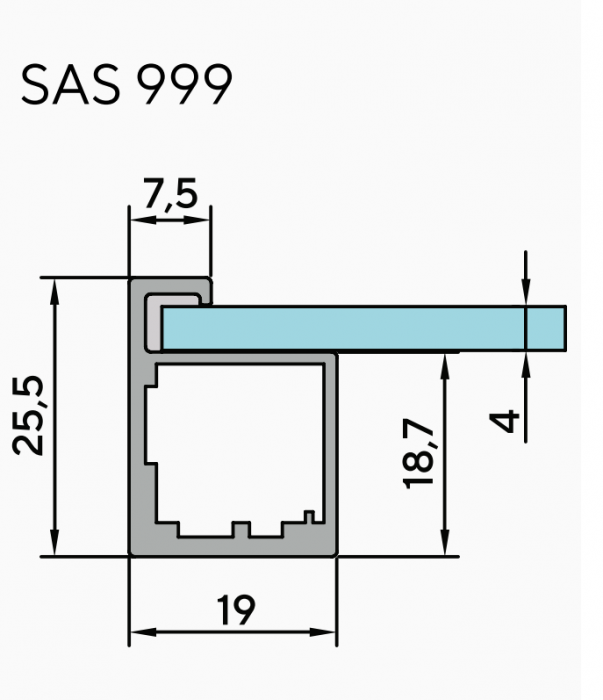 Ramă Profil îngust - Sas 999 finisaj Auriu deschis(C2) [4]