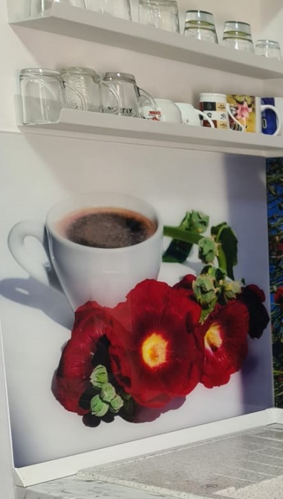 Sticlă Printată Termorezistentă [7]