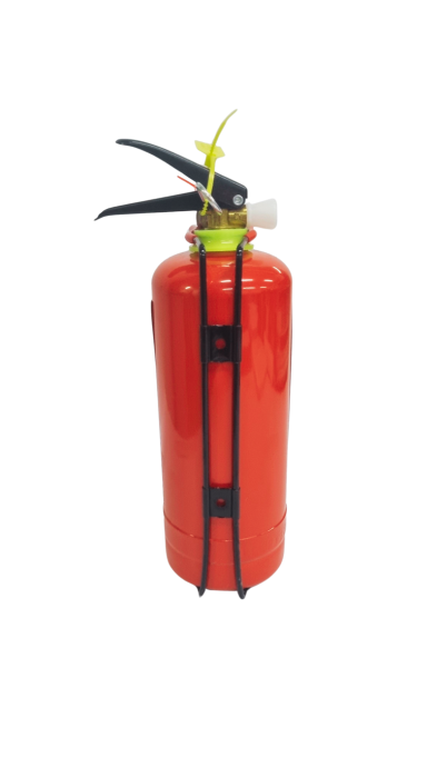 Stingator Auto PSI cu pulbere tip P1, manometru, omologat RAR 1kg [3]
