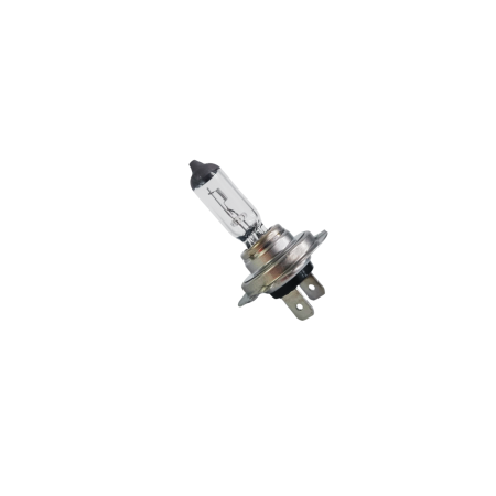 ELECTRICE / ELECTRONICE AUTO - Bec Halogen H7 100W 12V