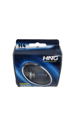 Becuri Halogen H4 55W/bec cu Lumina Alba 5500K 12V [2]