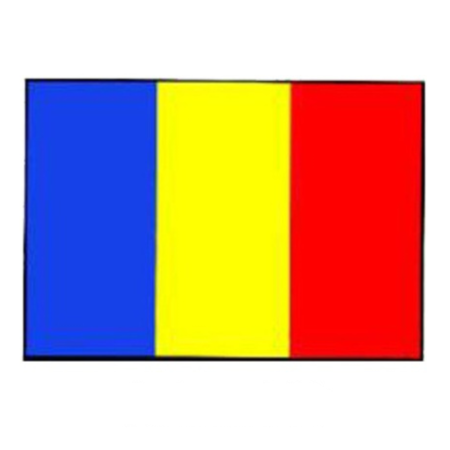 ACCESORII AUTO - Sticker steag Romania 12x9 cm decor auto tricolor