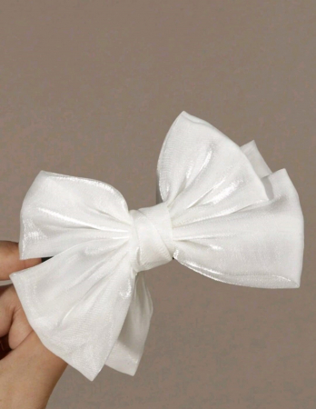 Accesorii de par - Funda par White