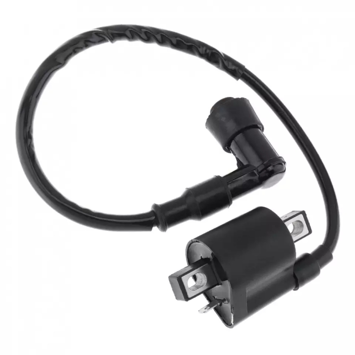 Bobina Inductie ATV 107cc 110cc - 1 papuc [2]