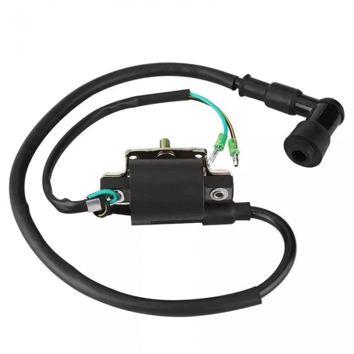 Bobina Inductie ATV TaoTao / Baja50cc 70cc 90cc - 2 fire [2]