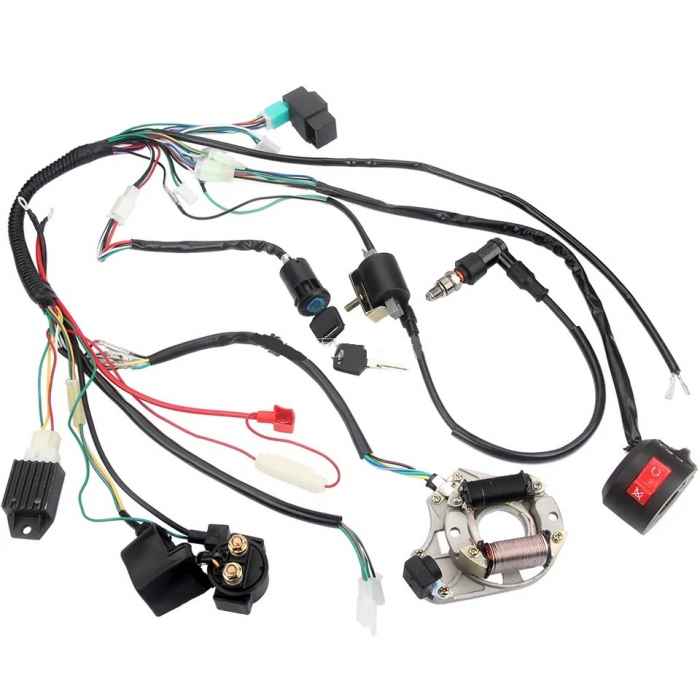 Instalatie Electrica ATV 107cc 110cc 125cc [2]