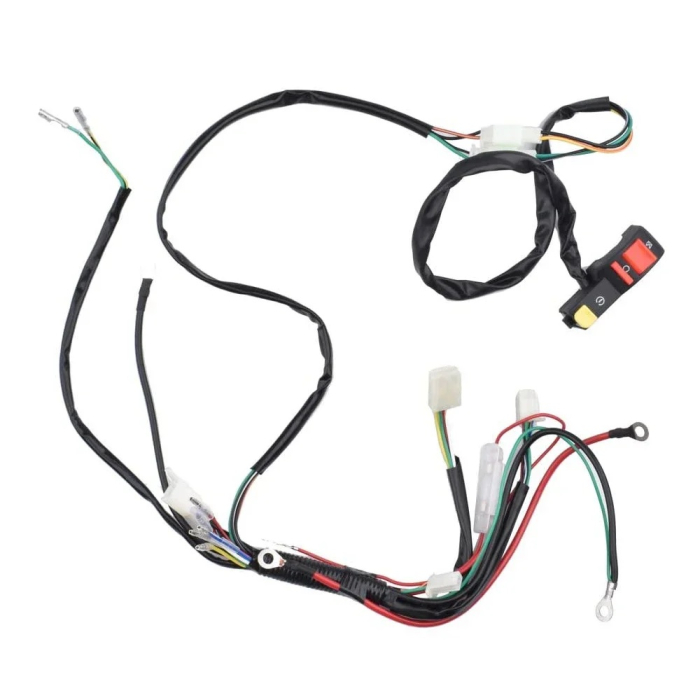 Instalatie Electrica ATV 107cc 110cc 125cc [1]
