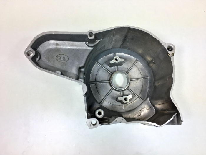 Capac Magnetou ATV 107cc 110cc 125cc - 2 bobine [2]