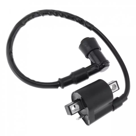 Bobina Inductie ATV 107cc 110cc - 1 papuc [1]
