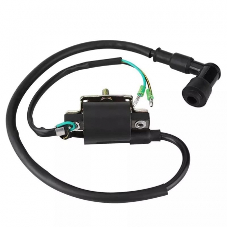 Bobina Inductie Kart - Go Karts 50cc 70cc 90cc - 2 fire [1]